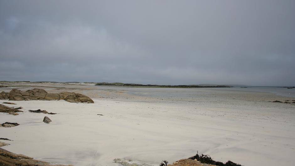 Der "Hausstrand" von The Galley. Nur selten trifft man hier Menschen. Mit ein bisschen...