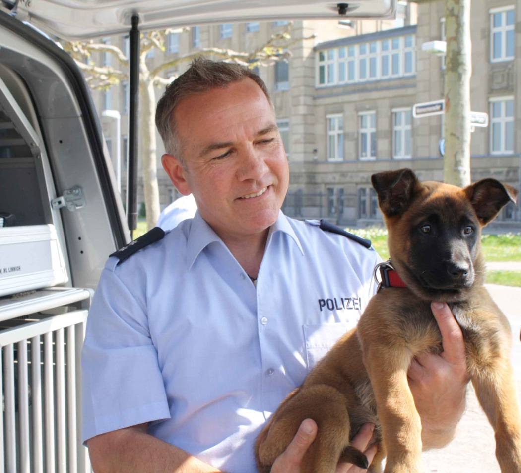  Polizeioberkommissar Michael Vollmer hat eine neue Kollegin zur Ausbildung: Milla, achteinhalb Wochen jung und belgischer Schäferhund. 