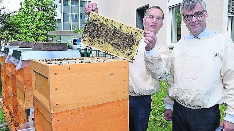 200.000 Bienen im Garten