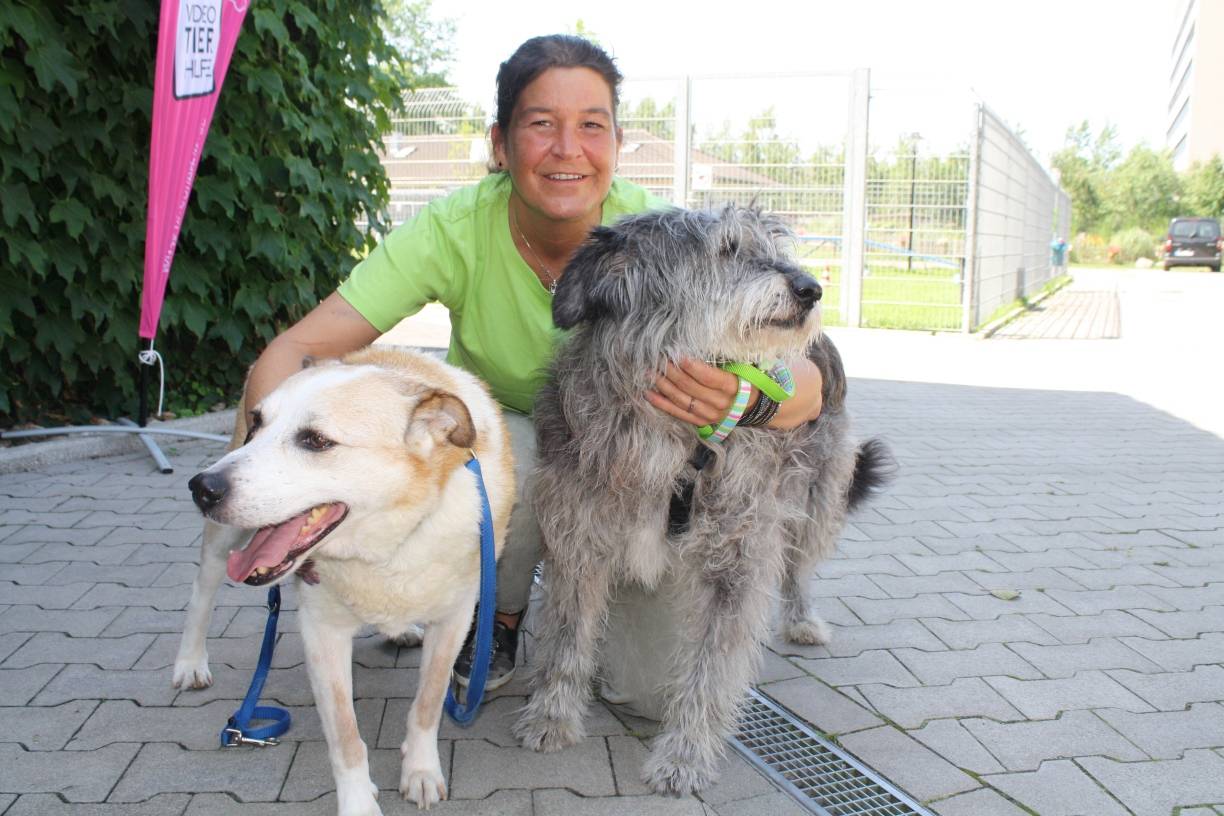  Melanie Gordon, Mitarbeiterin im Düsseldorfer Tierheim, mit den beiden knuffigen Rumänen Mingo (11, li.) und Firat (9), die sich nun auf einen glücklichen Lebensabend in Deutschland freuen dürfen. 
