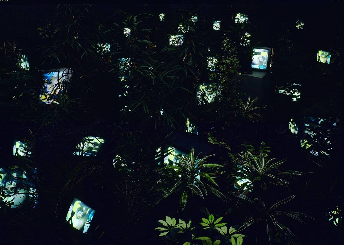  TV-Garden - die Video-Installation von Nam June Paik. 