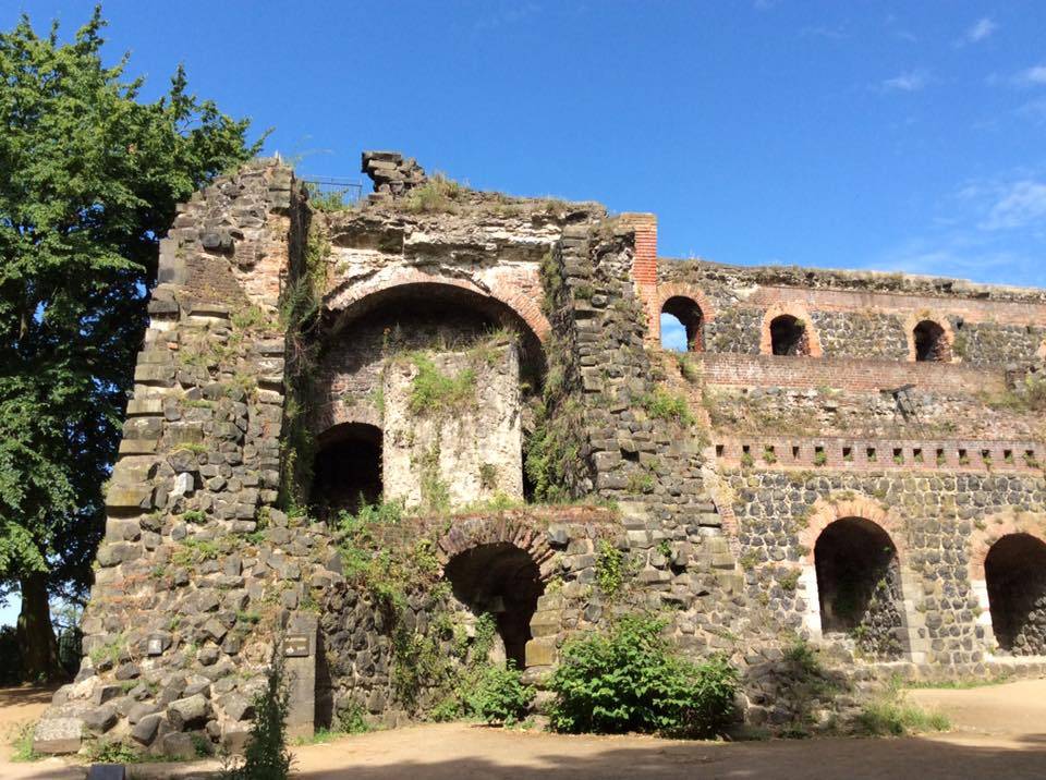  Die alte Kaiserpfalz in Kaiserswerth ist nicht nur ein malerisches Gemäuer, sondern auch Lebensraum zahlreicher Pflanzen. 