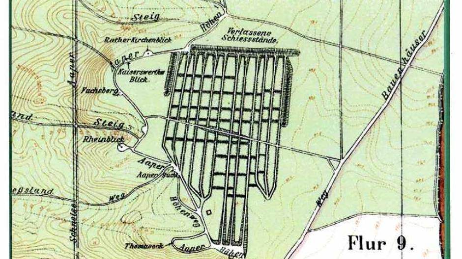 Kriegsspuren im Wald