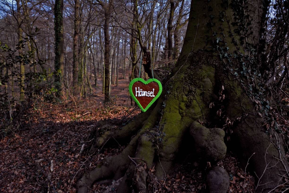  Lost in the Forest — Hänsel und Gretel auf der Spur. 
