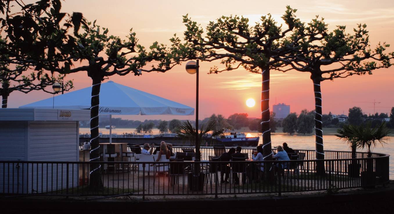 Jetzt wieder mehr Rheinblick