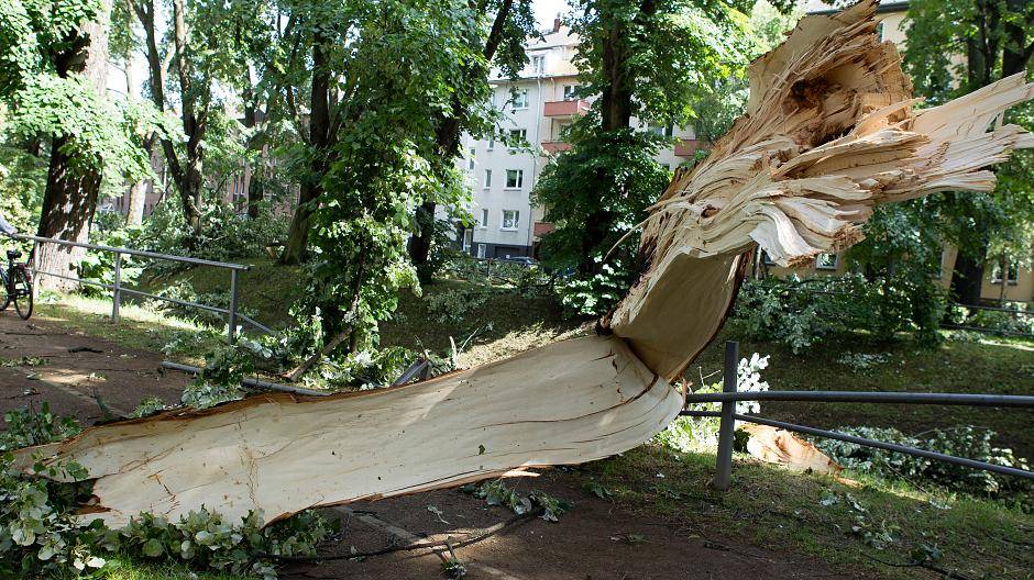Auf der Heinrichstraße entlang der Düssel versperrten umgestürzte Bäume den Fuß-...