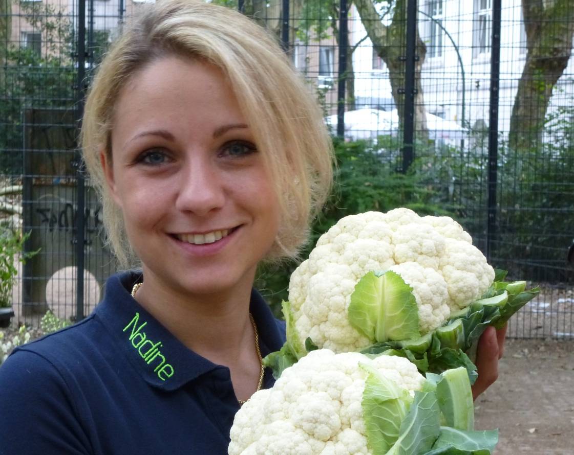 Der geht immer, der Blumenkohl