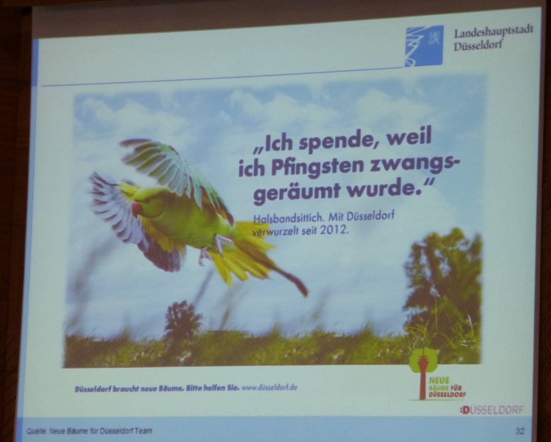  Mit originellen Plakaten — so wie hier auf unserem Bild mit den Halsbandsittichen — wirbt Düsseldorf nach dem ersten „Runden Tisch“ um die Spendenbereitschaft ihrer Mitbürger. 