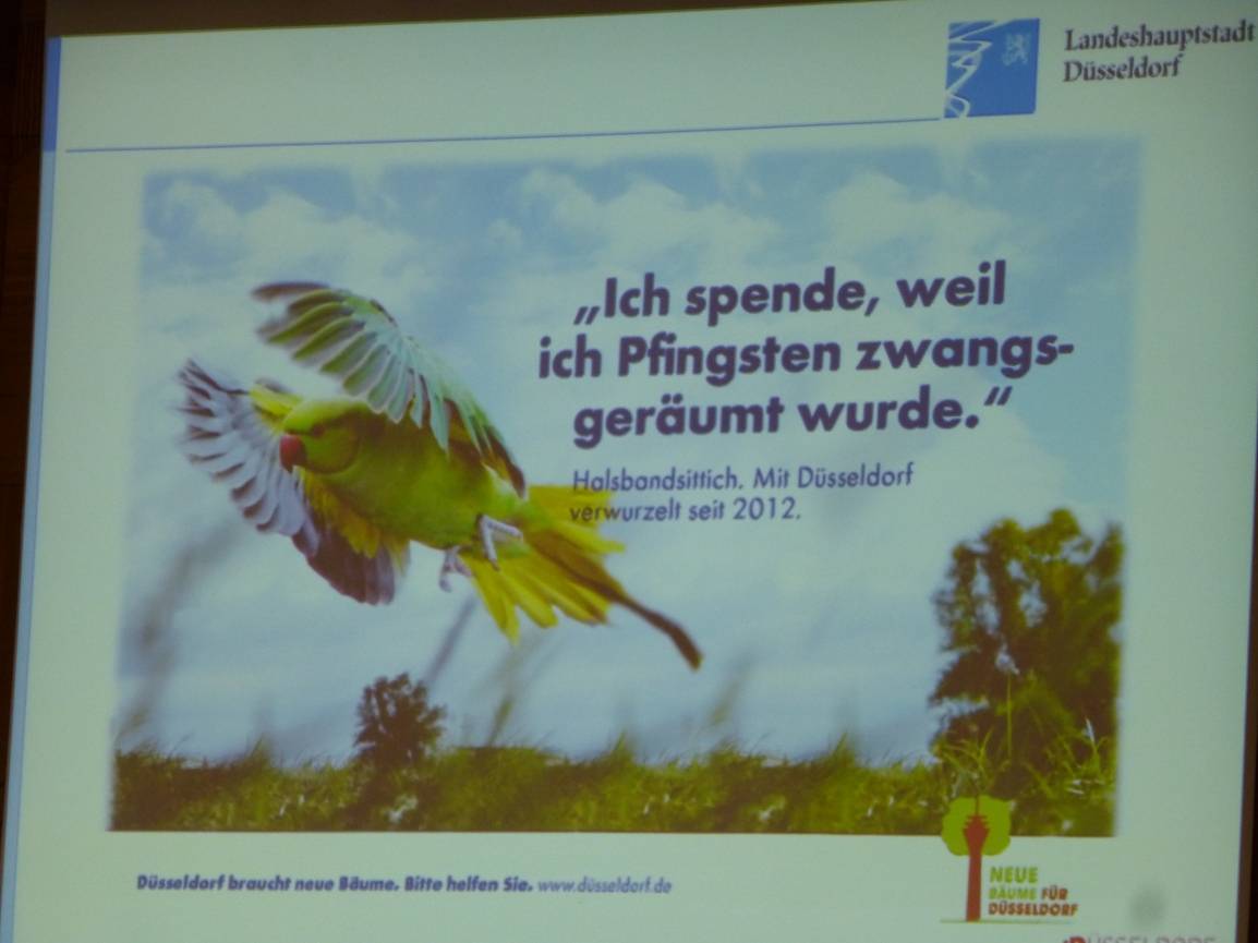  Auch die Halsbandsittiche werden die Plakat-Aktion für neue Bäume bereichern. 