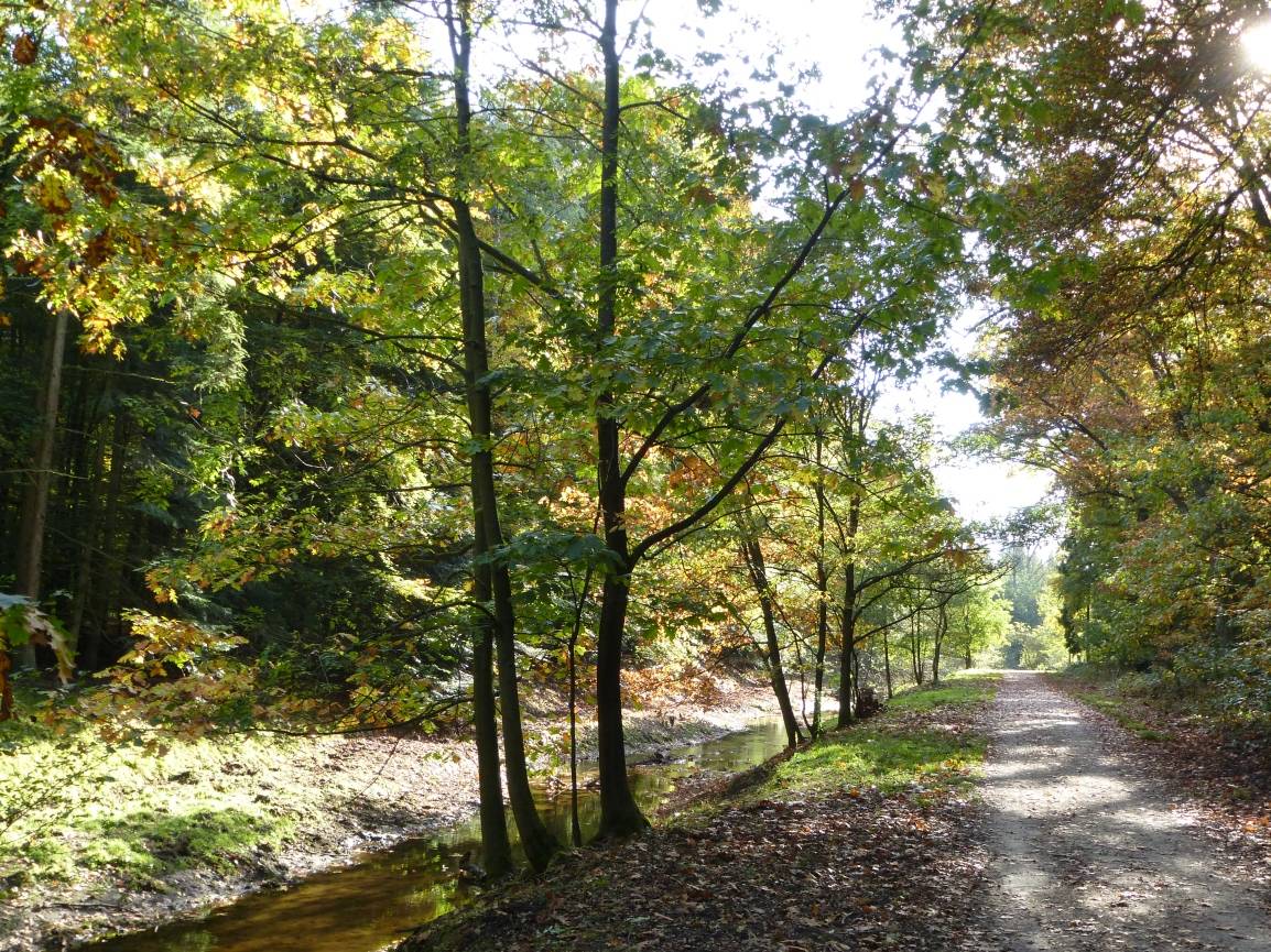  Am Garather Mühlenbach 
