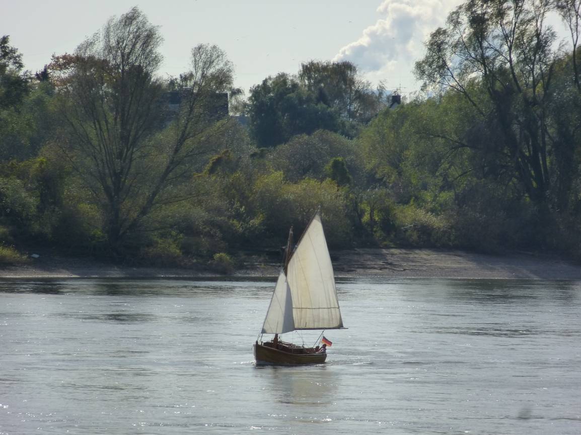  Einfach nur zuschauen... Der Platz auf dem Mäuerchen in Volmerswerth garantiert immer schönstes Rheinkino. 