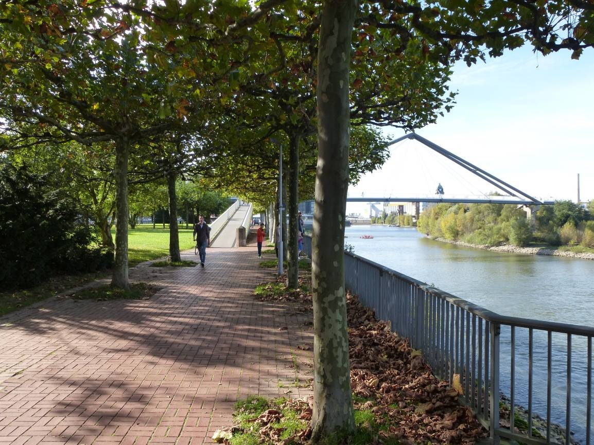  Die Brücke am Hafen 