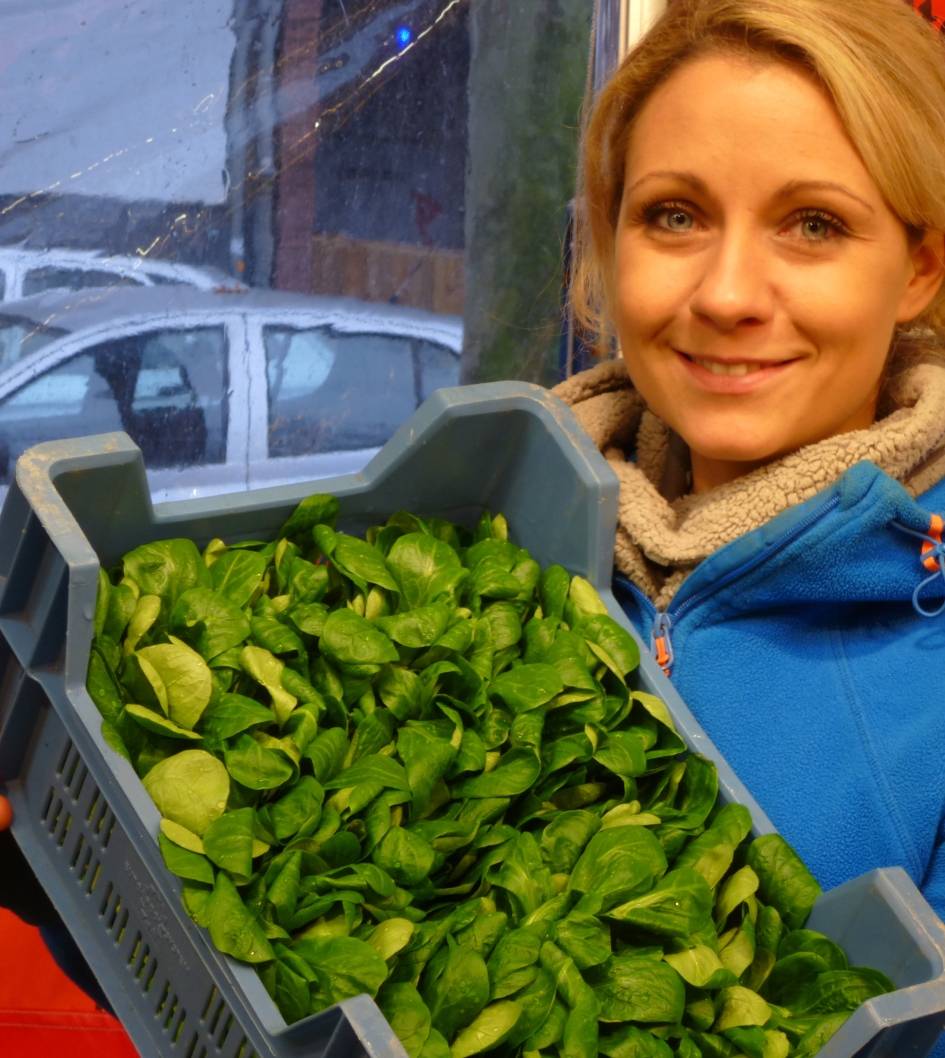 Feldsalat: Das große Waschen