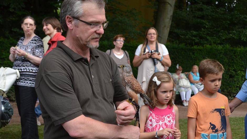 Die Falkner hatten verschiedene Greifvögel...