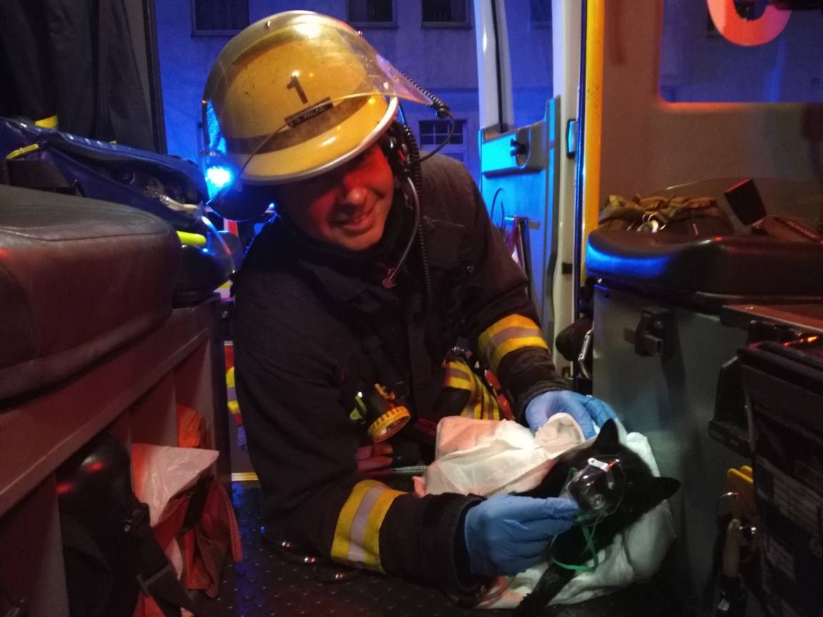  Happy End für die Mieze: Die Feuerwehr rettete das verängstigte Tier aus der brennenden Wohnung.  