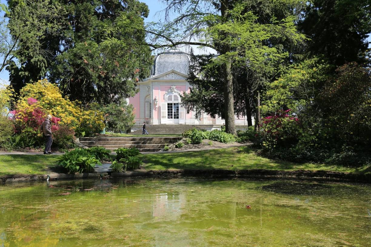 Wald im Schlosspark Benrath wird durchforstet