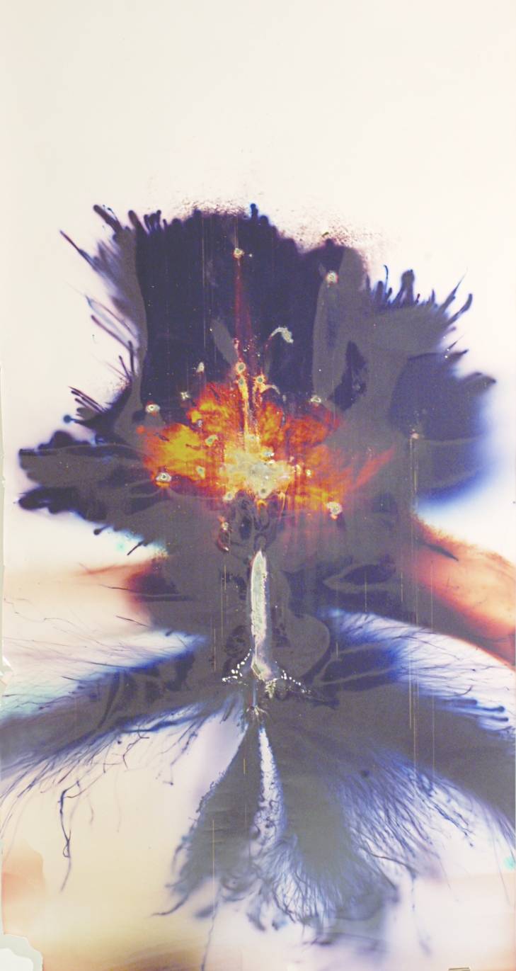  Daniel T. Braun Rafael Shafir, 2006 Raketogramm  