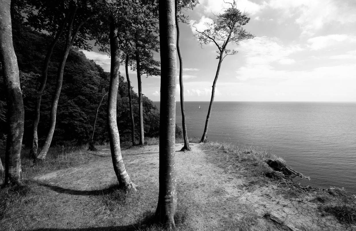  Eine der Stimmungen, nach denen Tilly fotografisch sucht: ein sommerlicher Blick auf Rügen. 