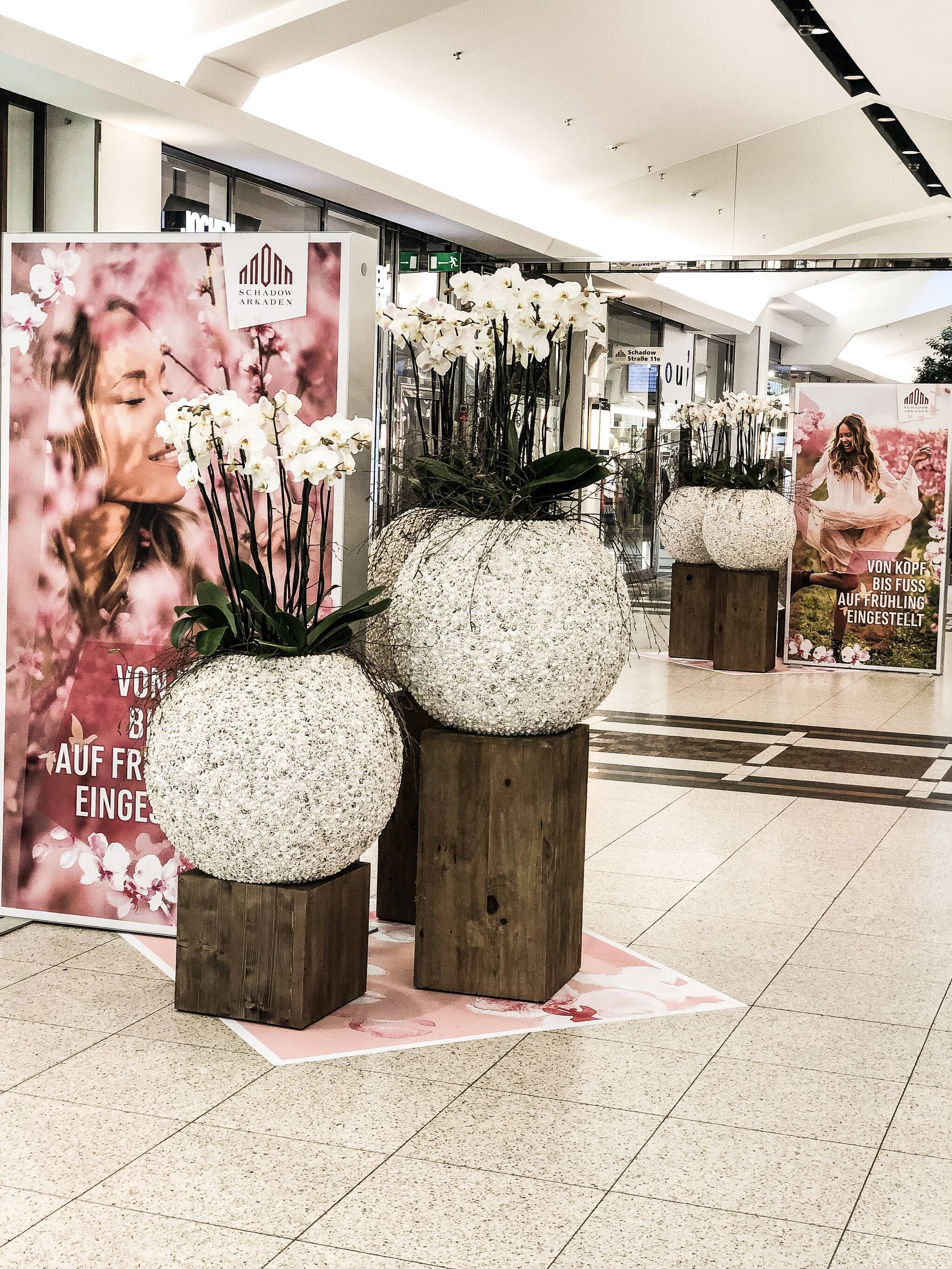 Trendfarbe des Jahres 2019: Living Coral: Der Frühling beglückt uns mit einem kräftigen Korallrot