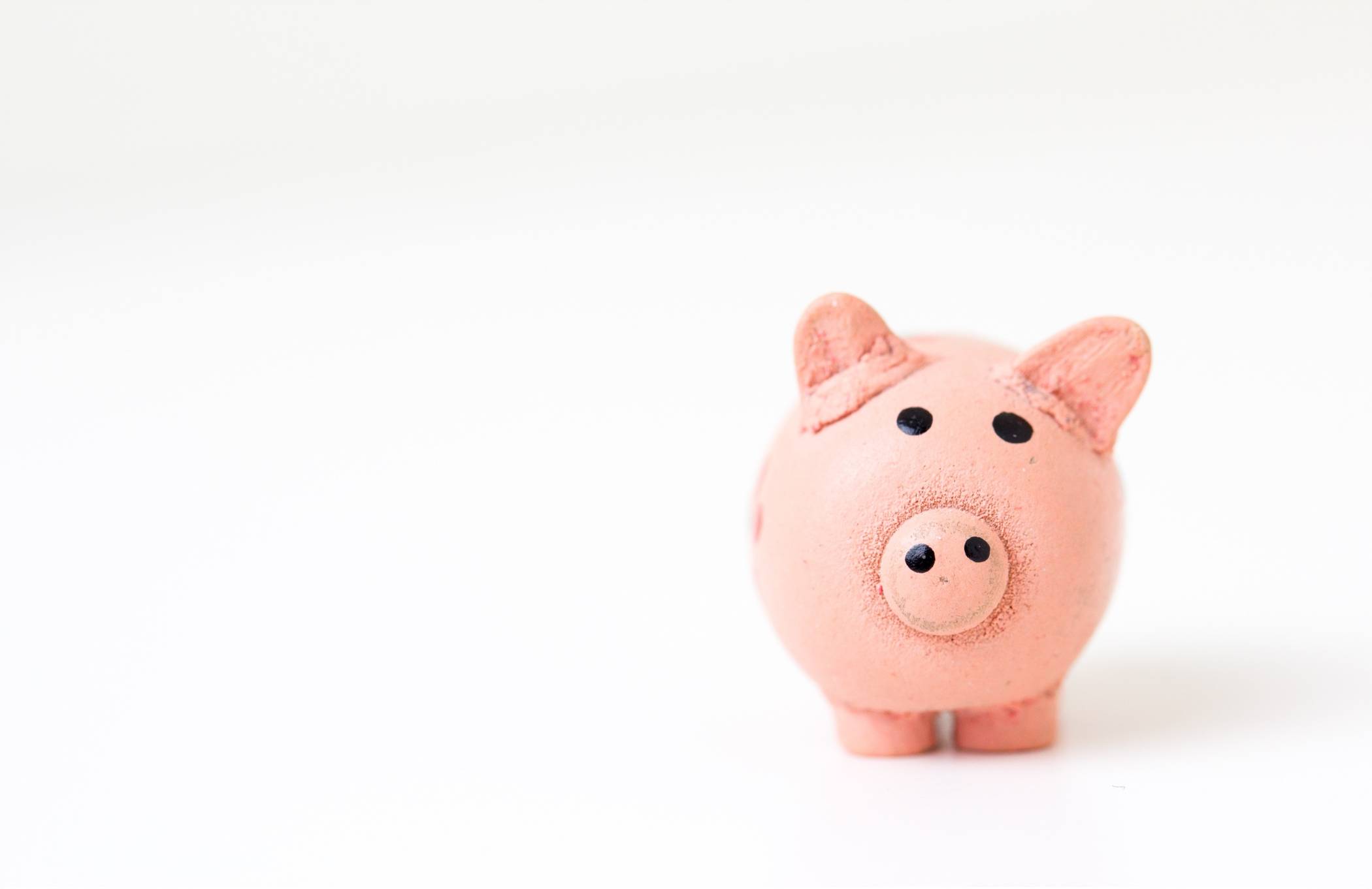 Hallo, Sparschwein! Effektives Sparen im Haushalt