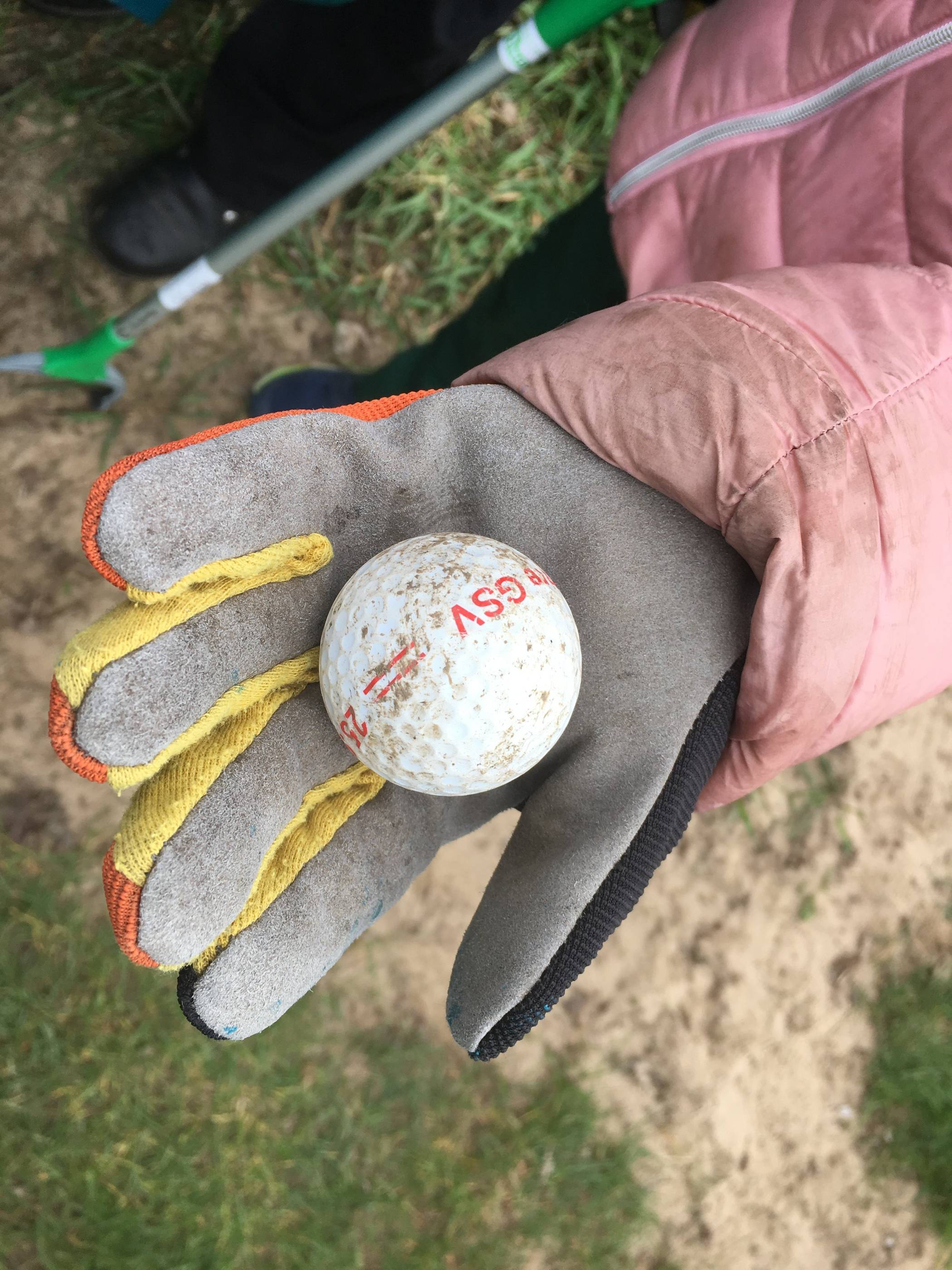 Immer wieder landen Golfbälle vom öffentliche Golfplatz auf der Rheinwiese gegenüber...