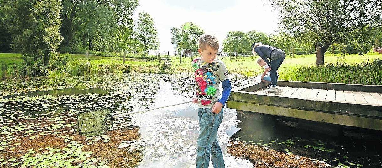  Auf Teichsafari in der Urdenbacher Kämpe. Foto:Thomas Lison 