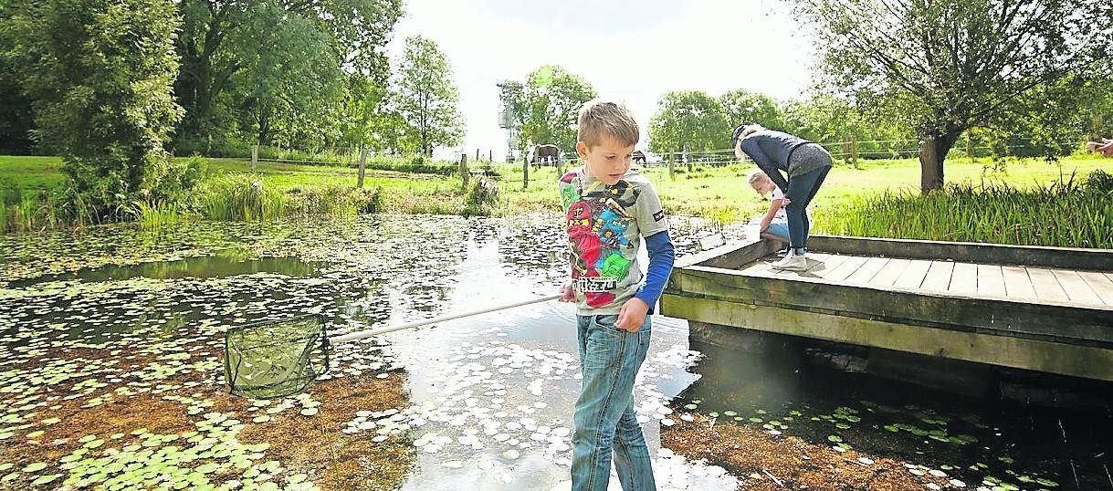 Auf Teichsafari in der Urdenbacher Kämpe. Foto:Thomas Lison