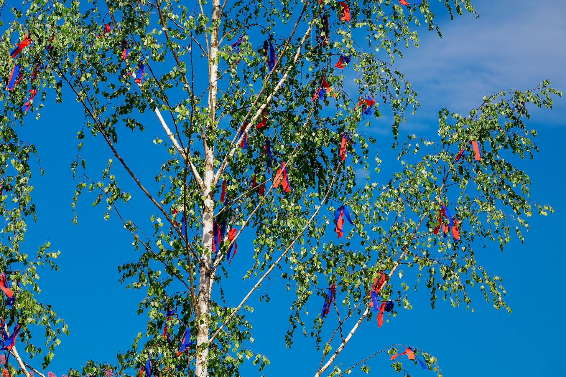 Unter dem Maibaum lässt es sich