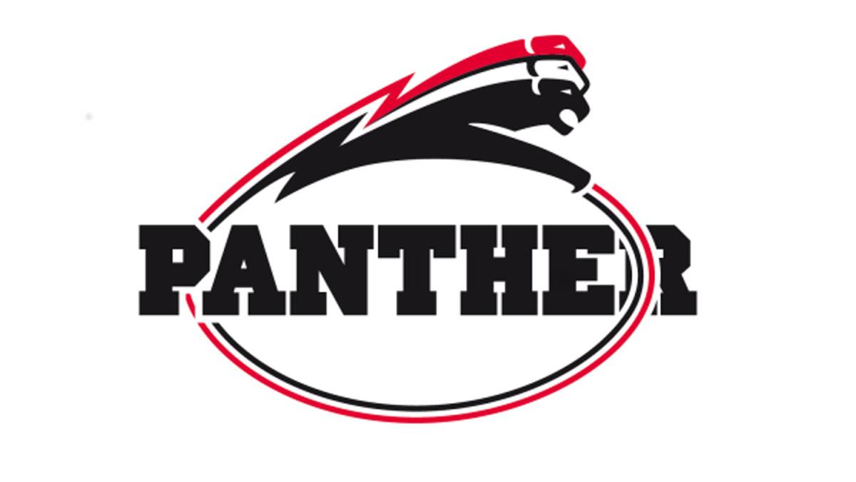  Das Panther-Logo ist in dieser Saison in der GFL zu sehen. 