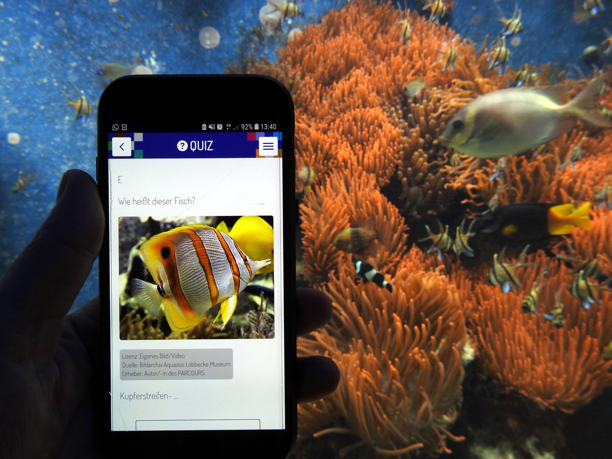 Eine App macht es möglich: Familien und Kinder können beim Besuch des Aquazoo Löbbecke Museum ab sofort an einer interaktiven Rallye teilnehmen. 