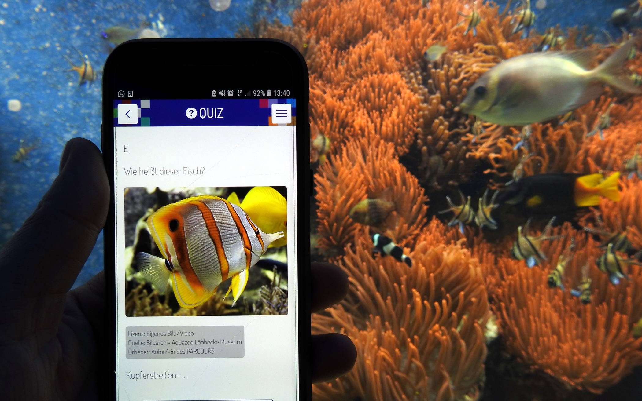  Eine App macht es möglich: Familien und Kinder können beim Besuch des Aquazoo Löbbecke Museum ab sofort an einer interaktiven Rallye teilnehmen. 