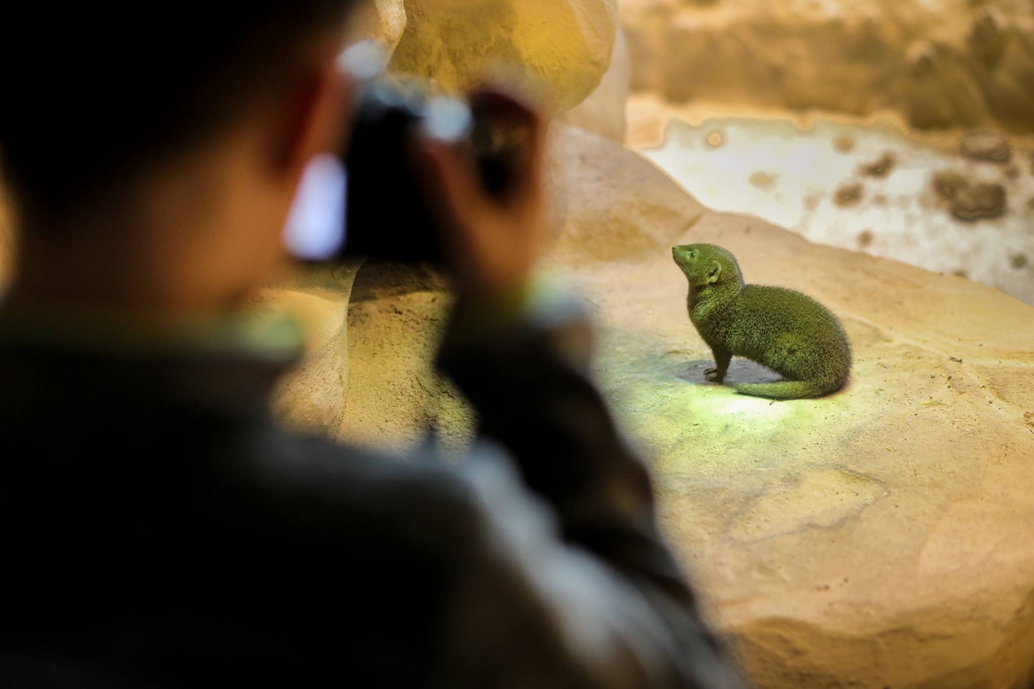  Ein gutes Tierfoto zu "schießen" ist gar nicht so einfach. Beim Workshop "Auf Unterwasserpirsch - mit der Kamera" am Donnerstag, 18. Juli, lernen die Kinder wie es geht. 