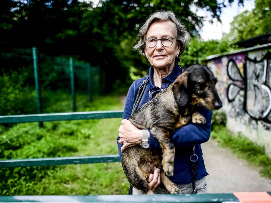 Warum Vermisst Man Jemanden Der Einen Verletzt Hat