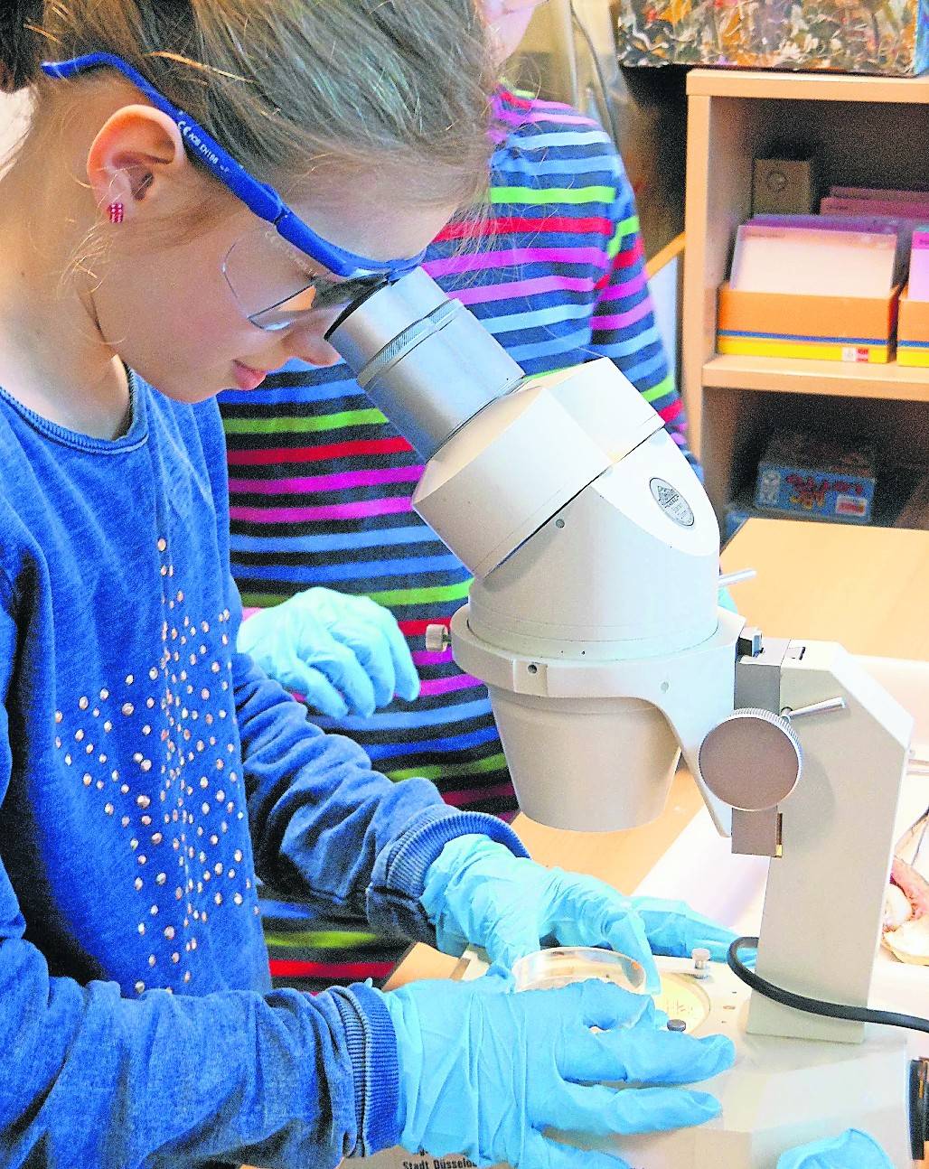 Beim Workshop „Kleine Welt ganz groß – unter dem Mikroskop“ mikroskopieren,<br/>erforschen und zeichnen die Kinder Schmetterlingsflügel, Haihaut und winzige Meerestiere.