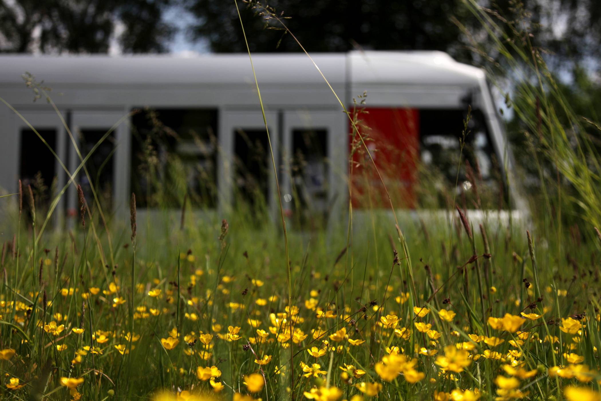  Durch die Umleitungen und dadurch, dass Busse statt Bahnen im Einsatz sind, kann es zu Wartezeiten und Verzögerungen kommen. 