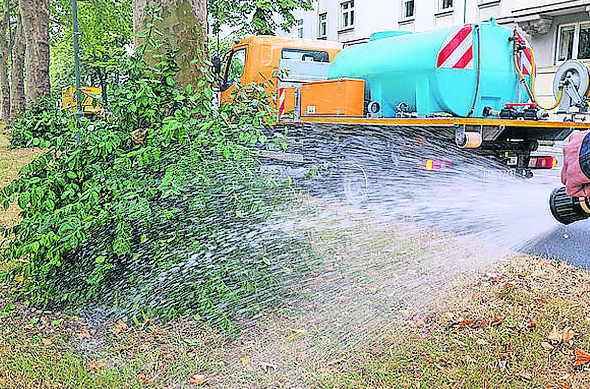  Mit 150 Litern Wasser werden Jungbäume und Bäume an schwierigen Standorten, wie hier auf der Tunneldecke entlang der Fischerstraße, versorgt. 
