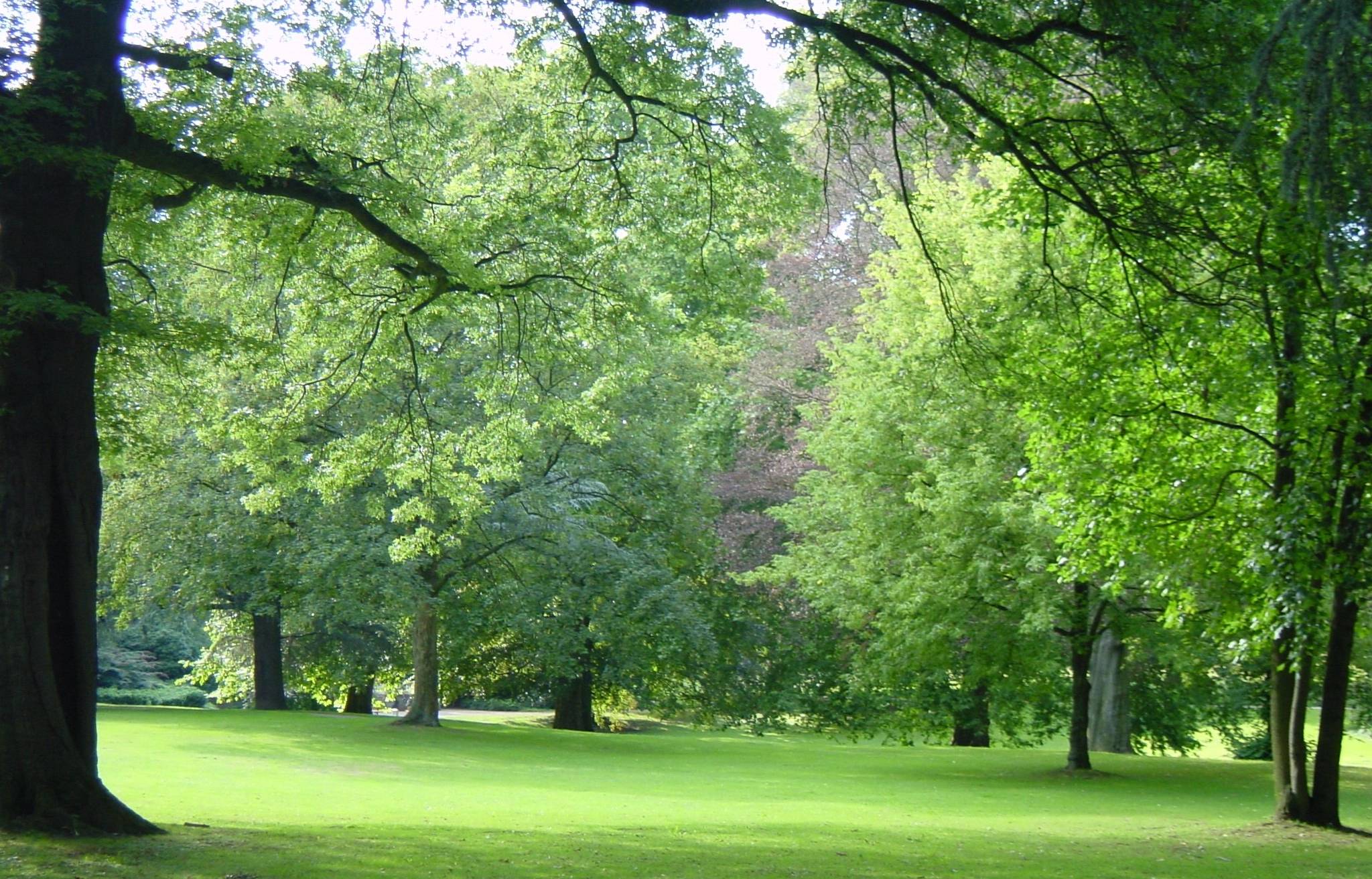 Artenreicher Baumbestand zeichnet den Elbroichpark aus.