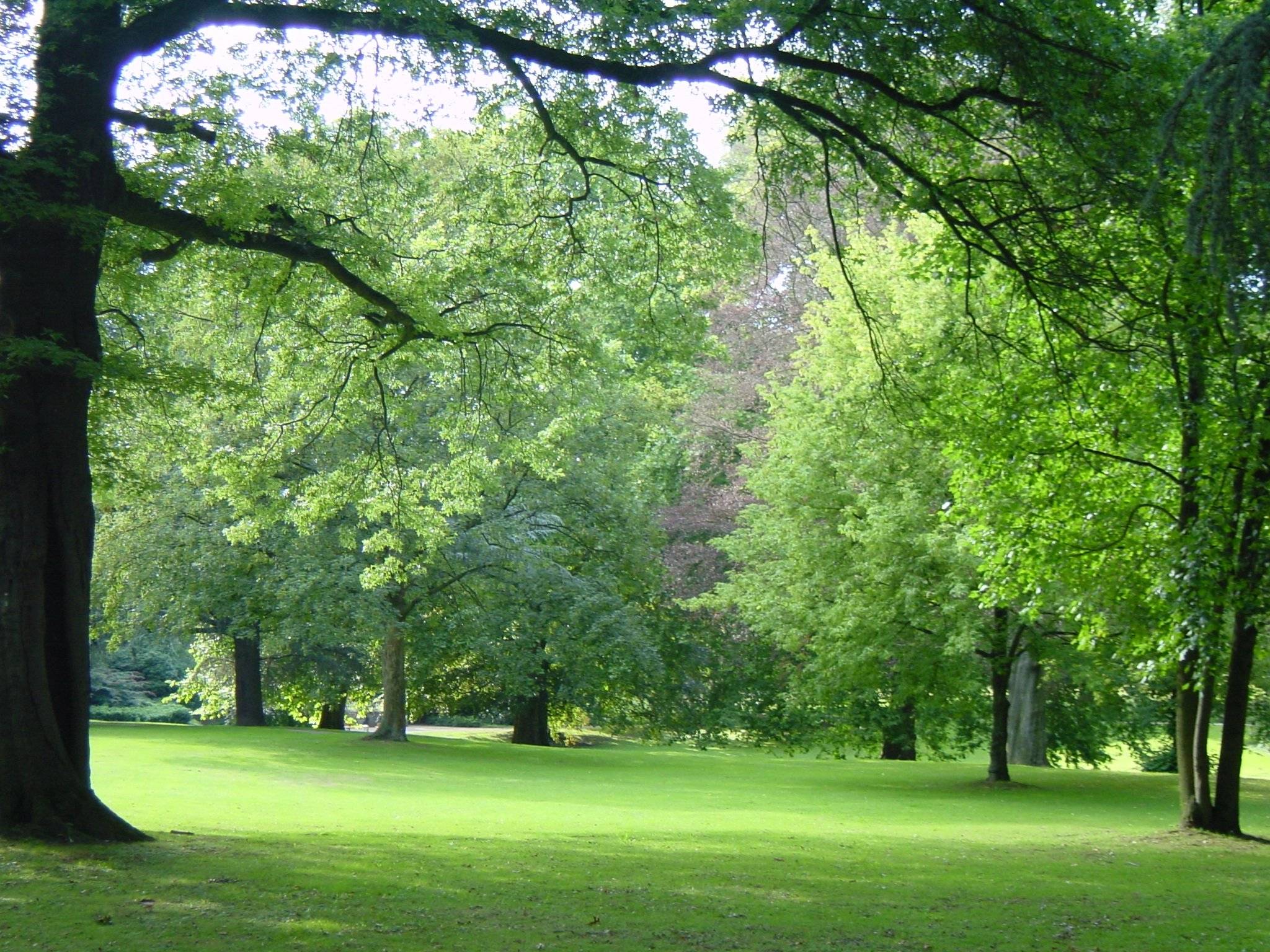  Artenreicher Baumbestand zeichnet den Elbroichpark aus. 