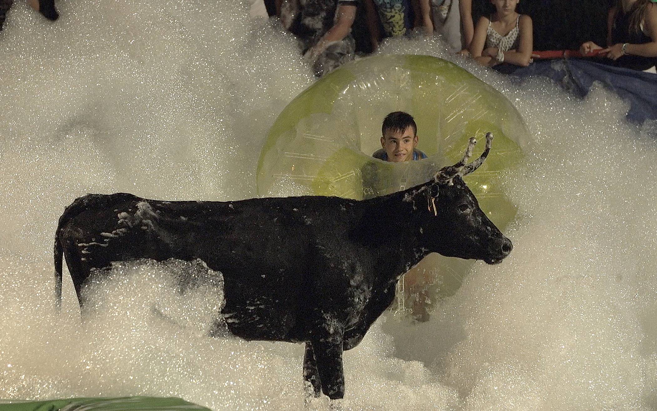  Ein Stier, Schaum, ein Filmstill: Yalda Afsah, Tourneur, 2018 