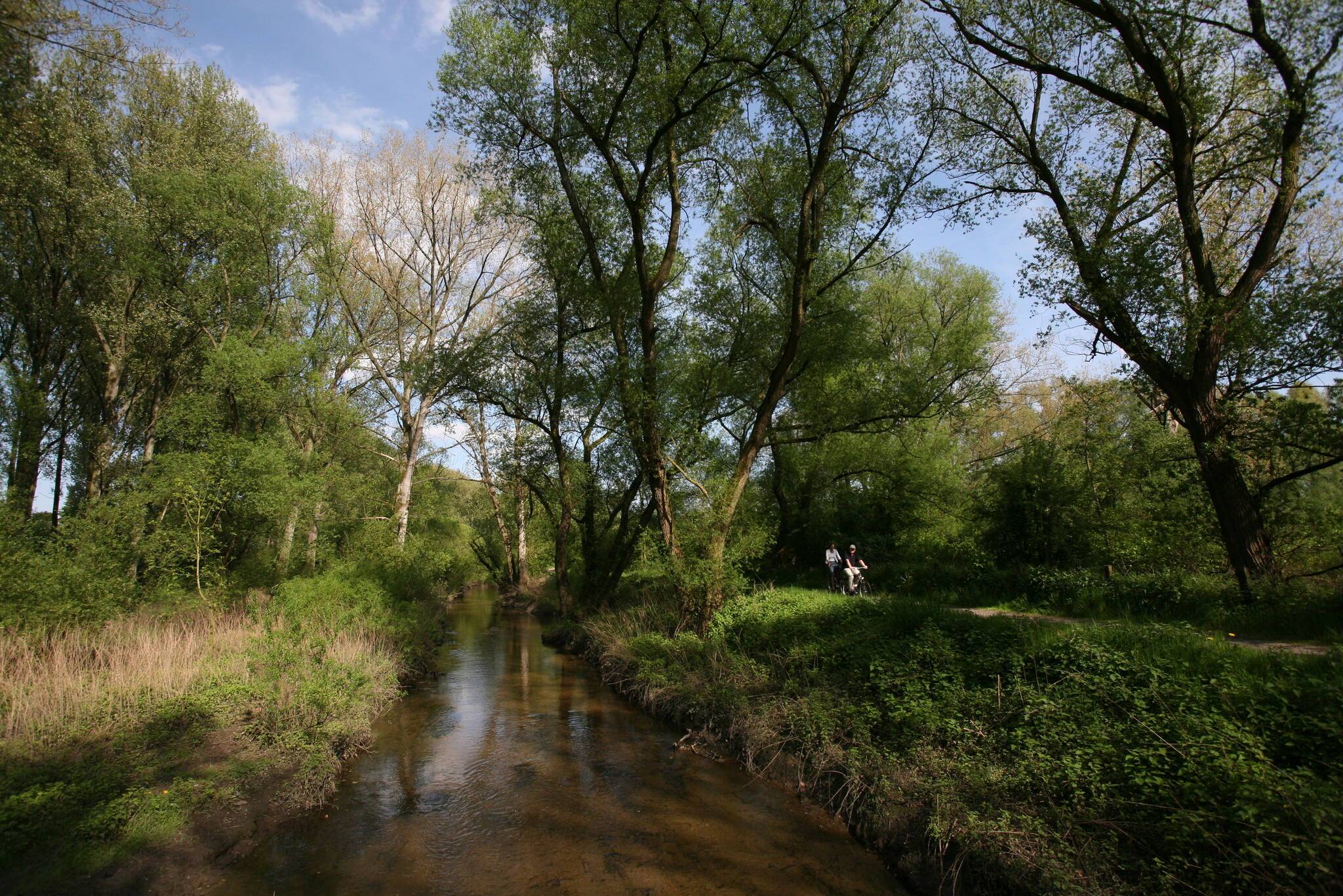  „Geheimnisvoll am lichten Tag, Läßt sich Natur des Schleiers nicht berauben,  Und was sie deinem Geist nicht offenbaren mag, Das zwingst du ihr nicht ab mit Hebeln und mit Schrauben“ - Johann Wolfgang von Goethe (1749 - 1832), Faust. Der Tragödie erster Teil, 1808. Nacht, Faust mit sich allein. 