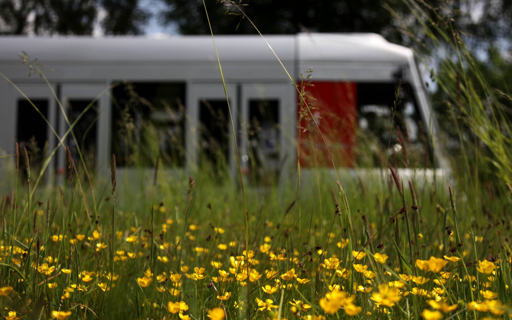  Am besten und ohne Parkplatzsorgen kommen die Kirmesgäste mit der Rheinbahn nach Haan. 