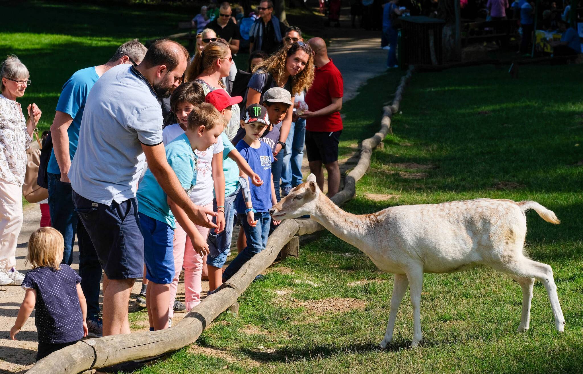 Buntes Familienprogramm lockte viele Besucher in den Grafenberger Wald