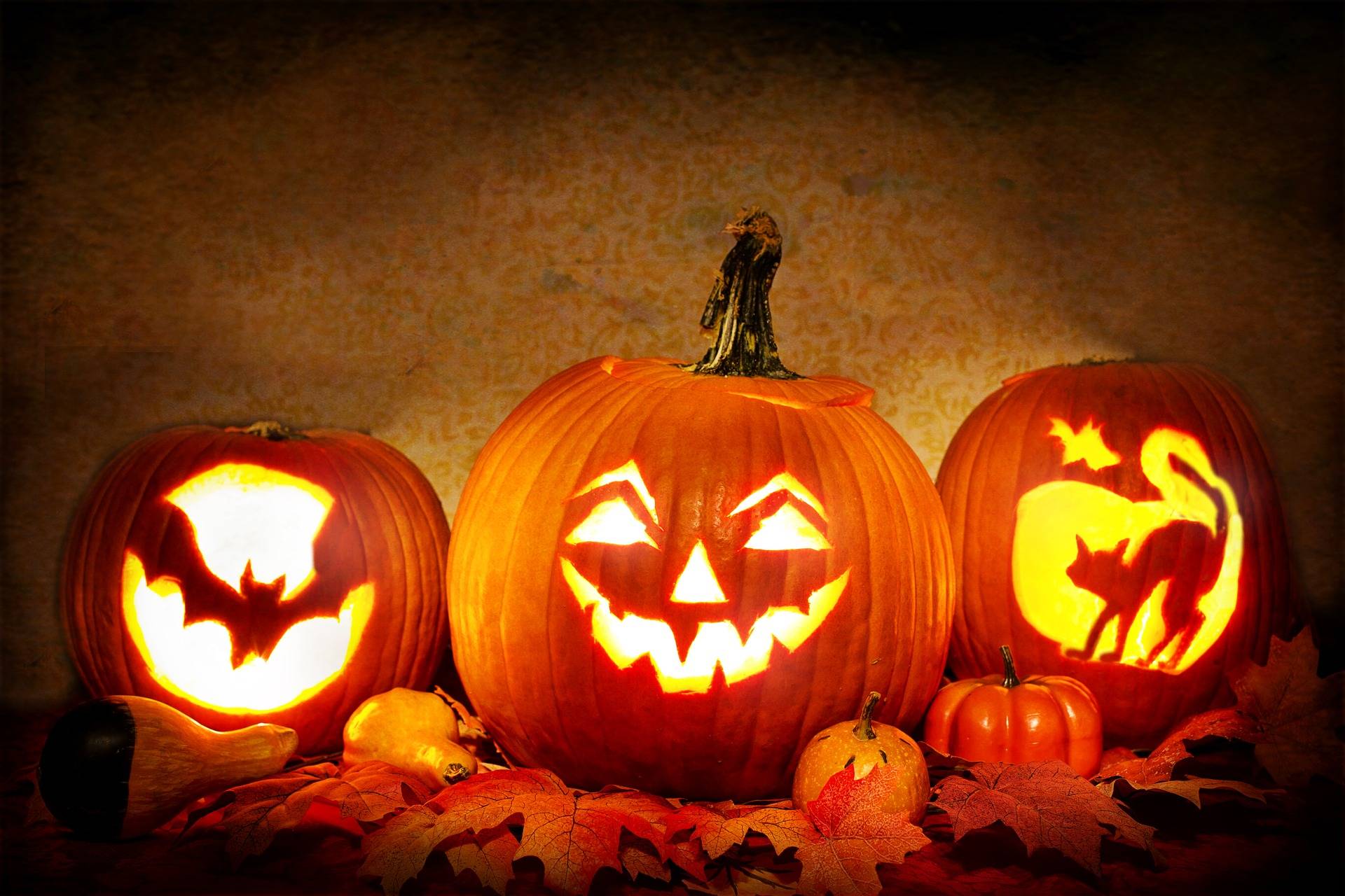  Die meisten denken, dass Halloween ein rein amerikanisches Fest ist, doch das stimmt nicht so ganz, der Name ist katholischen Ursprungs.  