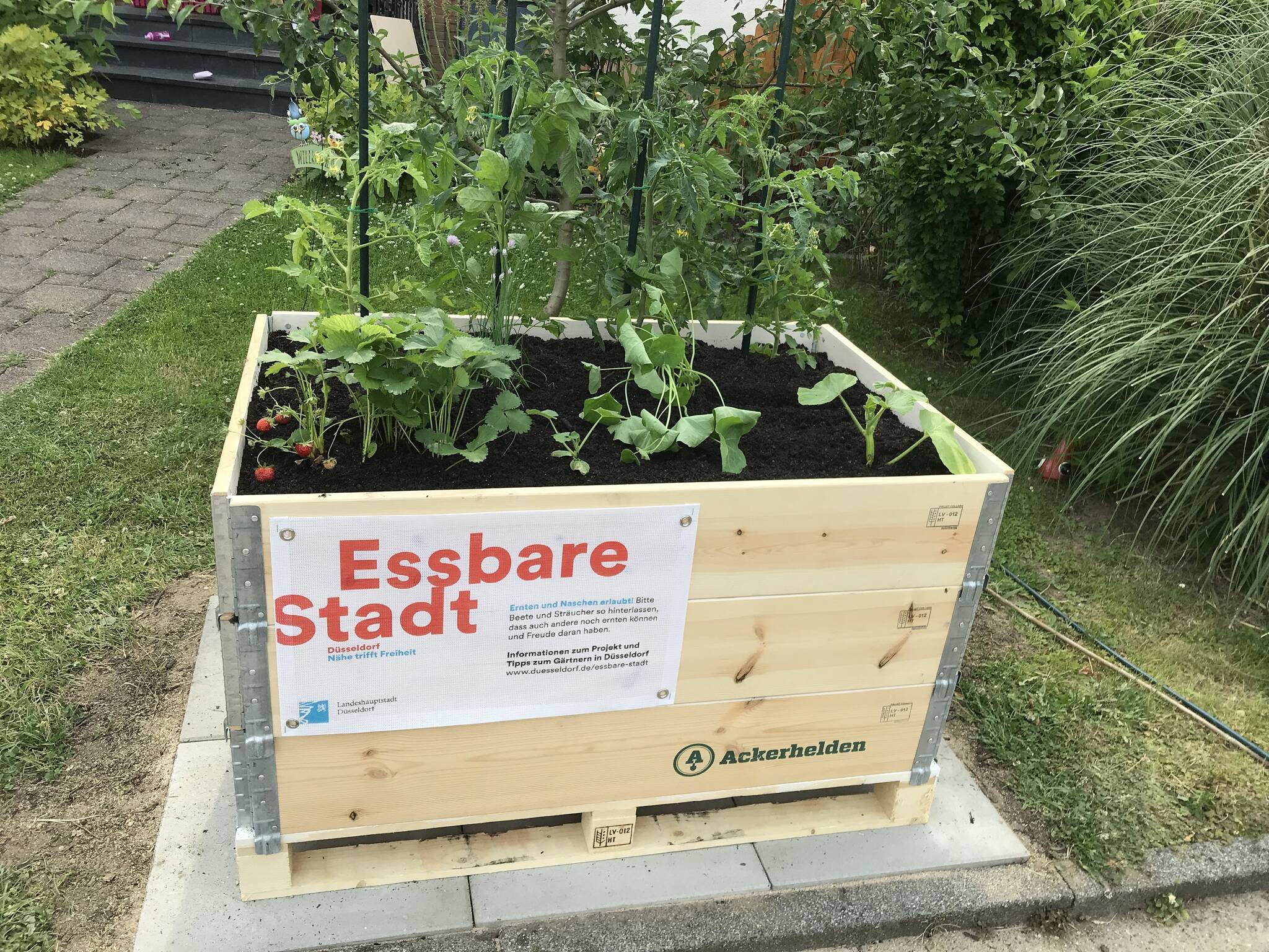  Im Zuge des Projektes "Essbare Stadt" besteht zum Beginn der Gartensaison im Frühling die Möglichkeit, ein "Bio-Hochbeet-Set" auf Bestellung anzufordern. Foto: Landeshauptstadt Düsseldorf, Umweltamt. 