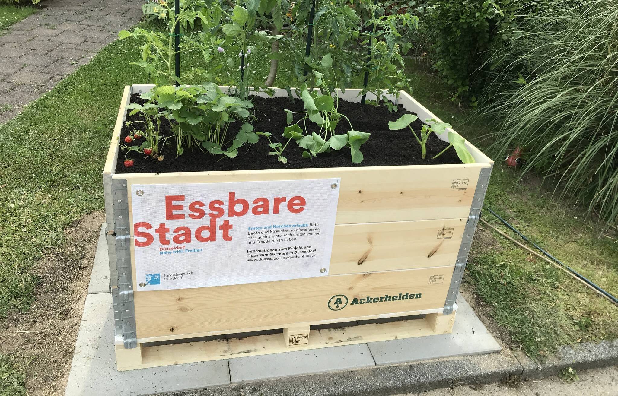  Im Zuge des Projektes "Essbare Stadt" besteht zum Beginn der Gartensaison im Frühling die Möglichkeit, ein "Bio-Hochbeet-Set" auf Bestellung anzufordern. Foto: Landeshauptstadt Düsseldorf, Umweltamt. 